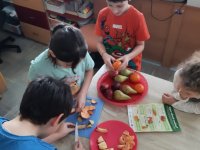 whatsapp image 2026-02-04 at 10.13.36 2